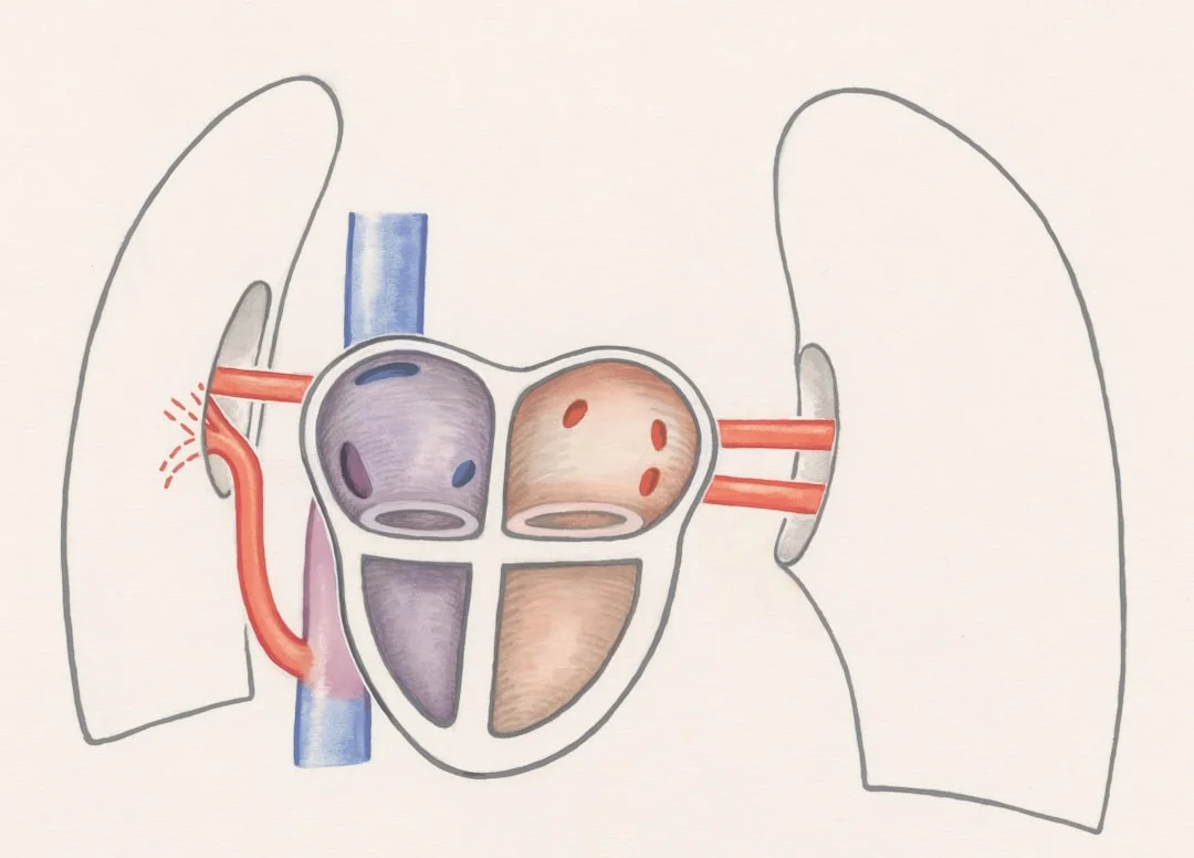 Anatomical diagram with strategic occlusion boxes showing proper image occlusion technique